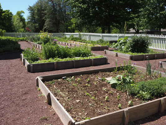 Best Timber for Raised Beds: How to Choose the Right Timber for Your Garden