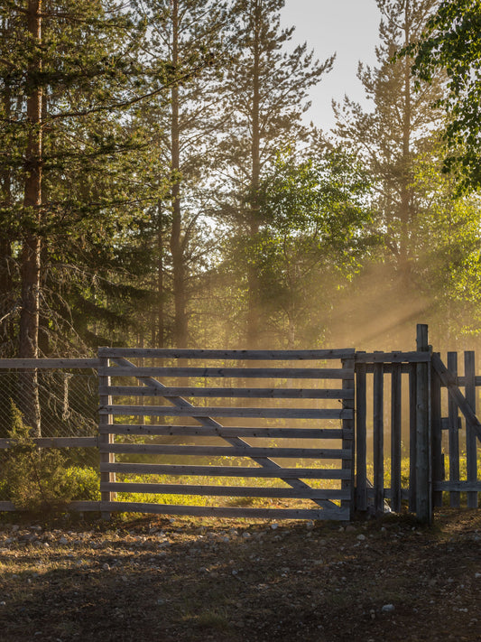 Best Timber for Fencing: A Complete Buyer's Guide